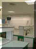 labo vert4.JPG (57622 octets)